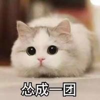 電路開(kāi)發(fā) AD PCB制圖 ARM單片機(jī)程序編寫