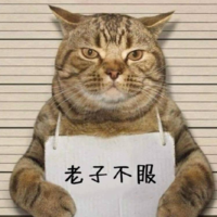 湛江市阿爾泰科技網(wǎng)絡(luò)公司