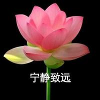 東風(fēng)使命