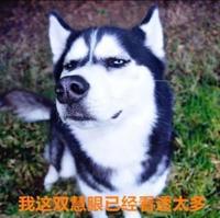 小2接單