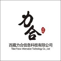 西藏力合信息科技有限公司