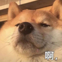 陳林專賣店
