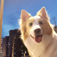 大俠留步