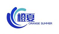 河南橙夏信息科技有限公司