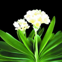 上海啟測信息技術(shù)有限公司