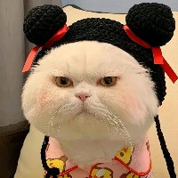 HOBO前端開發(fā)