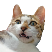 歸雁