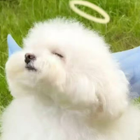 玖玖玖柒