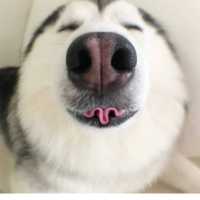 adwyxx