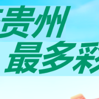 田試試