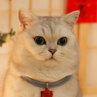 小蠻王