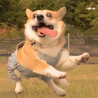 李澤漫