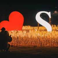 北京寧帥科技有限公司