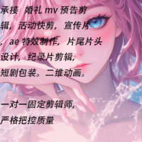 v先生個(gè)人店鋪