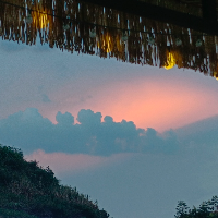 香香必行