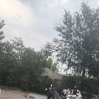 機(jī)智信息科技