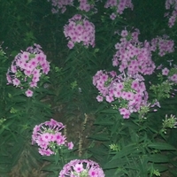 個(gè)人