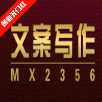 【猪八戒mx2356文案】可行性报告 专业文书 商业诊断报