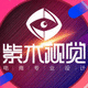 紫木視覺