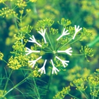 企业