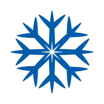 冰雪网络11年品牌老店