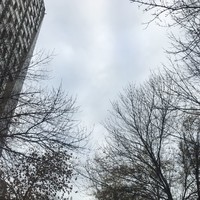 個人