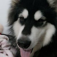 個人