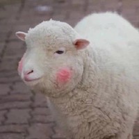 個人