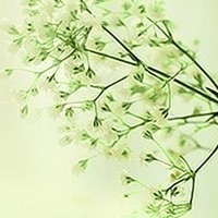 电商代运营：互联网时代的商业新引擎