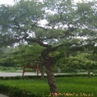 個人