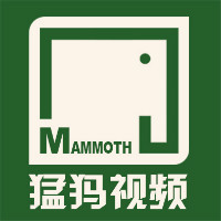 企業(yè)