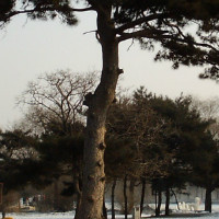 個(gè)人