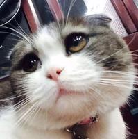 個人