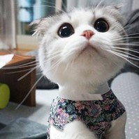 個人
