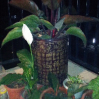 法国原装原瓶进口红酒软文写作