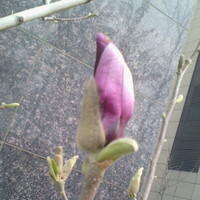 企業(yè)