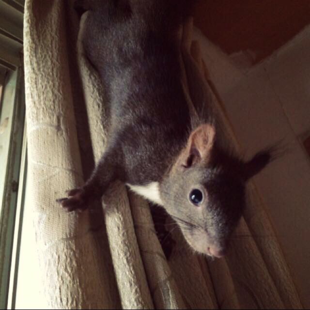 個人
