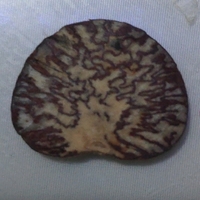 個(gè)人