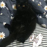 個人
