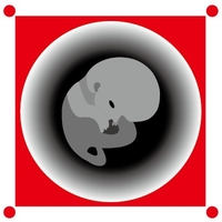 企業(yè)