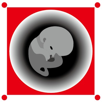 企業(yè)
