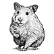 强生