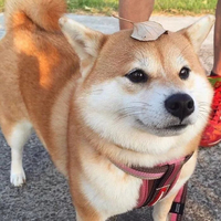個人