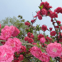 企業(yè)