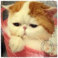 个人