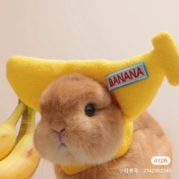 個人