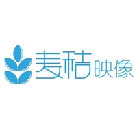 麦秸映像IT开发-微信/<hl>小程序</hl>/app