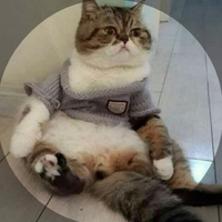 个人