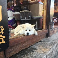 個(gè)人