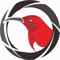 企業(yè)
